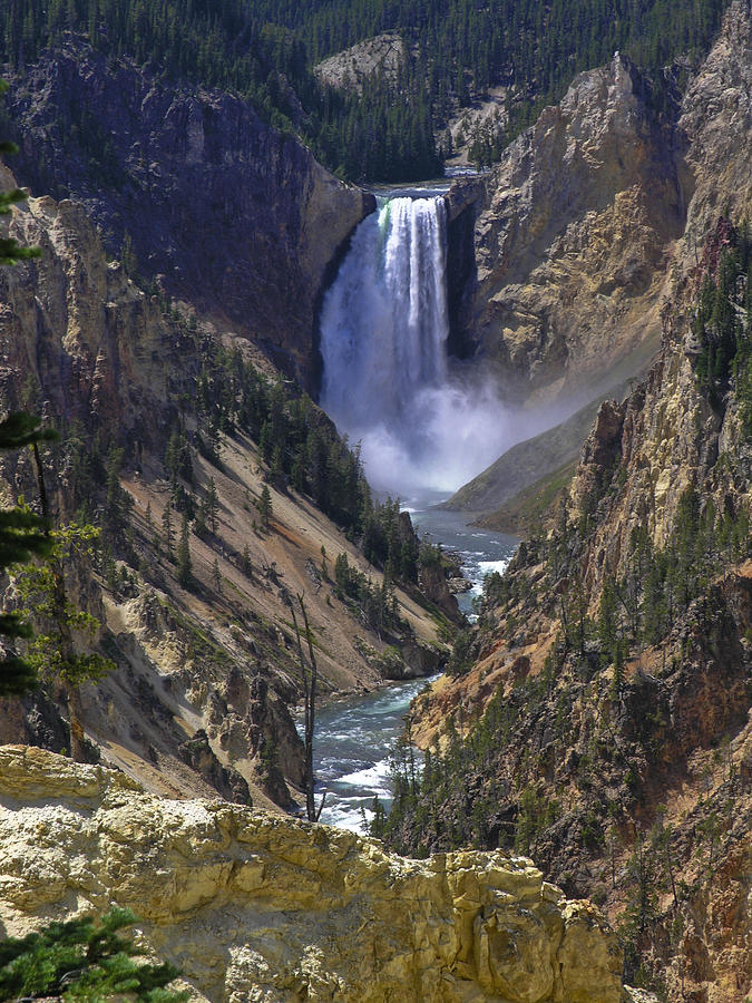 Lower Yellowstone Falls #2 Photograph by Sally Weigand
