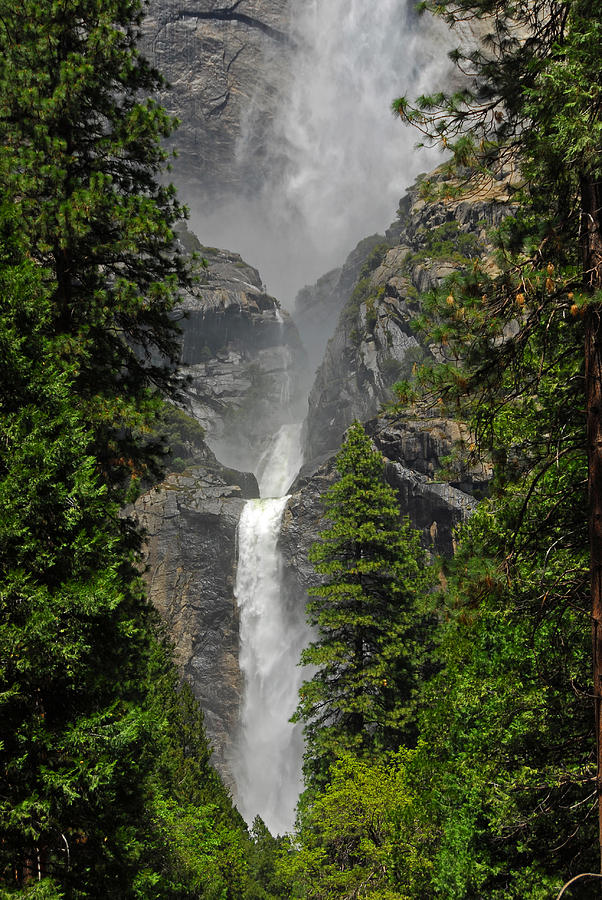 Lower Yosemite Falls #1 Photograph by Lynn Bauer