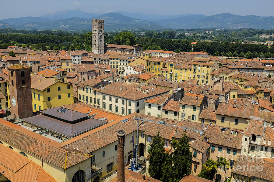 Lucca Italy #1 Photograph by Edward Fielding