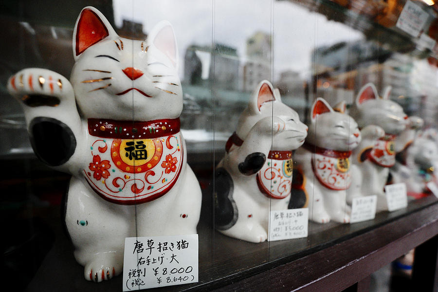 Lucky Cats #1 Photograph by David Harding
