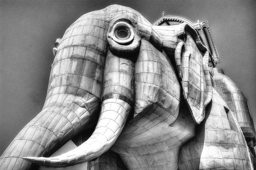 Elephant Photograph - Lucy the Elephant #1 by Lucia Vicari