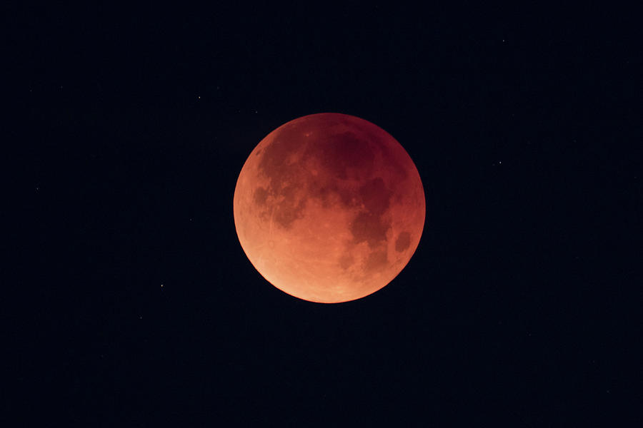 Lunar Eclipse #1 Photograph by Alan Vance Ley