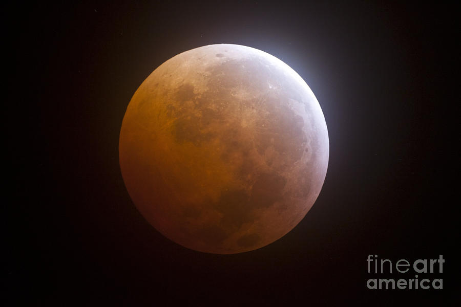 Space Photograph - Lunar Eclipse #1 by Phillip Jones