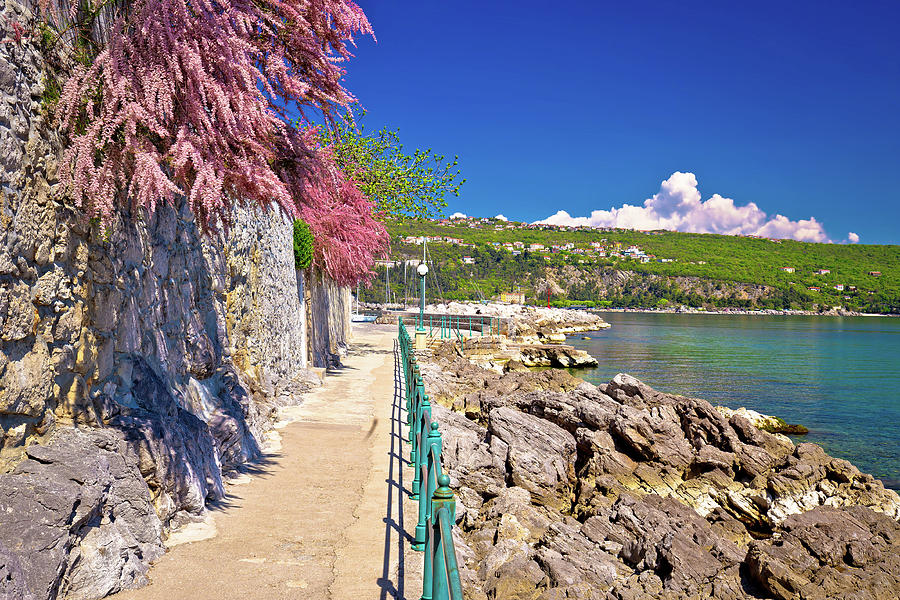 Lungomare coast famous walkway in Opatija #1 Photograph by Brch Photography