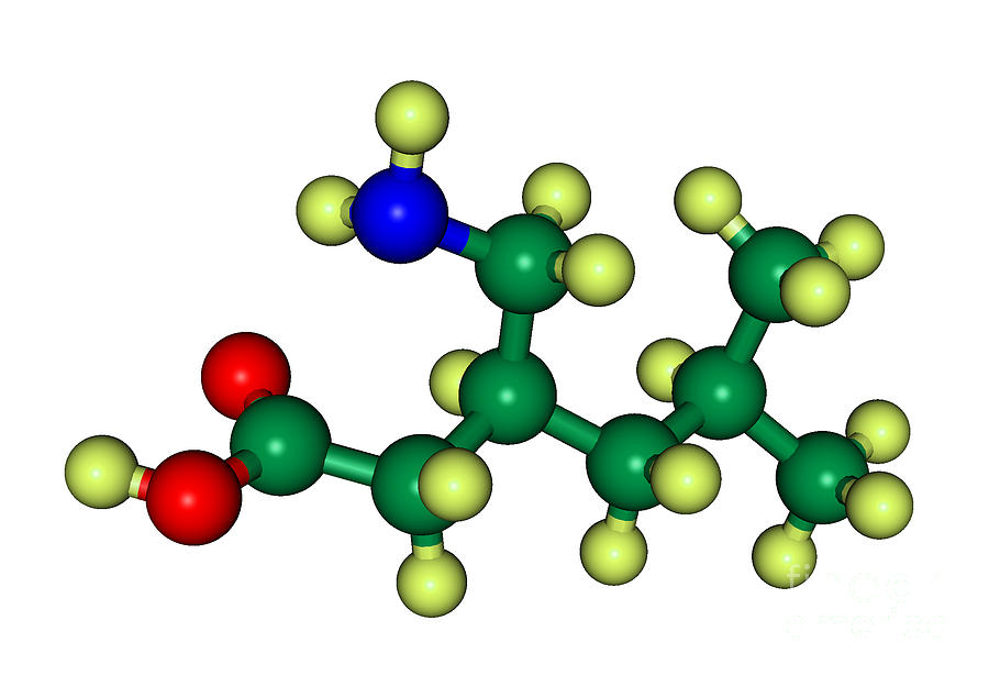 Lyrica Pregabalin Molecular Model #1 Photograph by Scimat