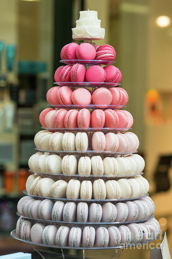 Cake Photograph - Macaroons  #1 by Andrew Michael
