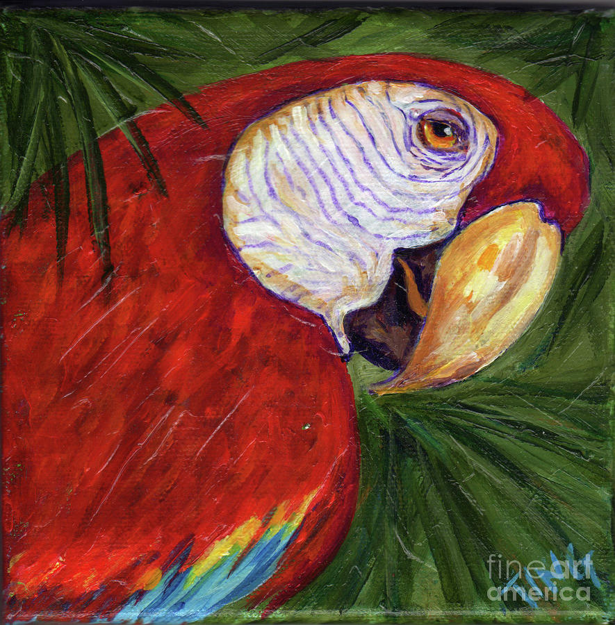 Macaw Portrait #1 Painting by Doris Blessington
