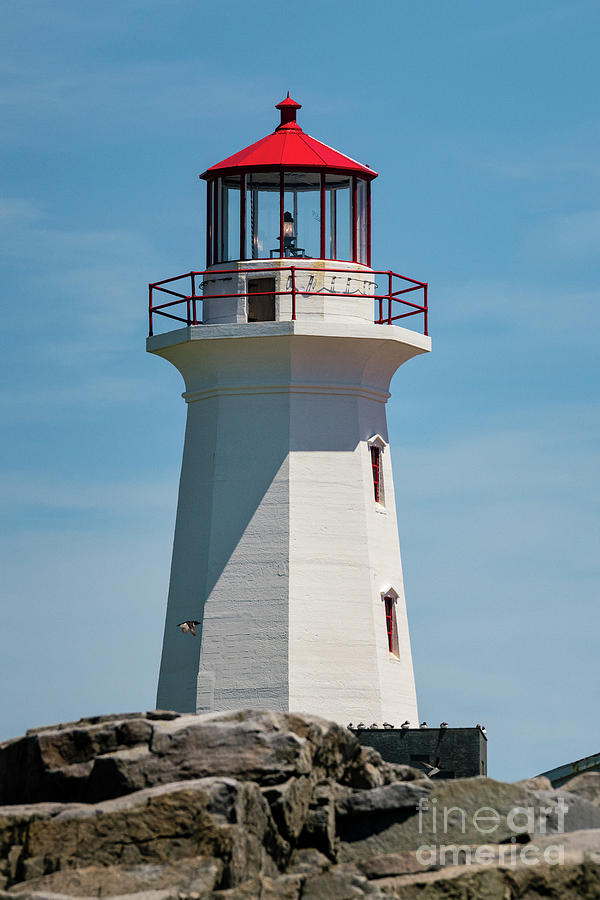 Machias Seal Island Lighthouse #1 Photograph by Craig Shaknis