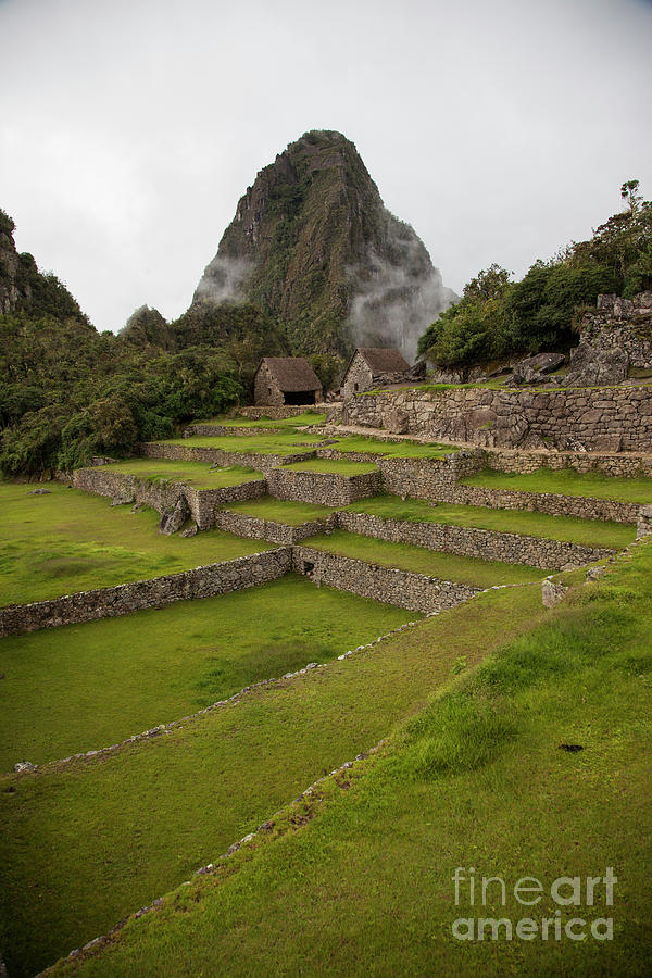 Machu Picchu #1 Photograph by Timothy Johnson