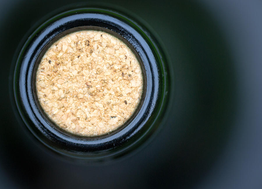 Macro Closeup Wine Bottle Cork #1 Photograph by John Williams