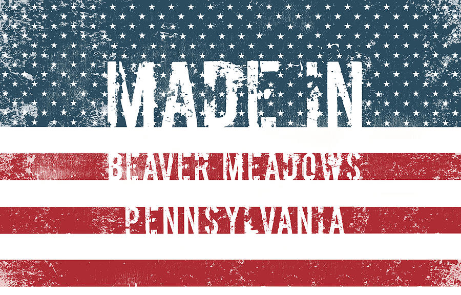 Flag Digital Art - Made in Beaver Meadows, Pennsylvania #1 by Tinto Designs