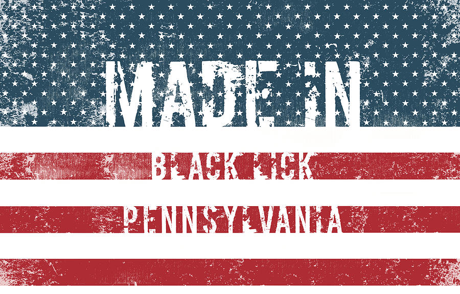 Pennsylvania Digital Art - Made In Black Lick, Pennsylvania by Tinto Designs Pennsylvania Digital Art - Made In Black Lick, Pennsylvania by Tinto Designs