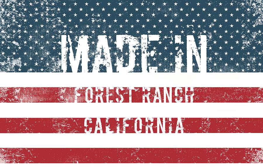 Made in Forest Ranch, California #1 Digital Art by Tinto Designs