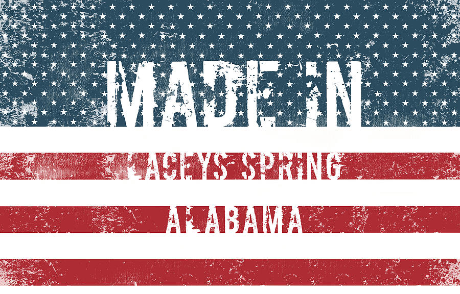 Made in Laceys Spring, Alabama #1 Digital Art by Tinto Designs
