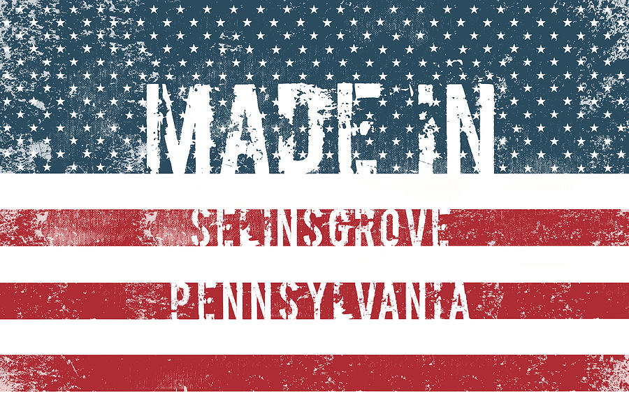 Made in Selinsgrove, Pennsylvania #1 Digital Art by Tinto Designs
