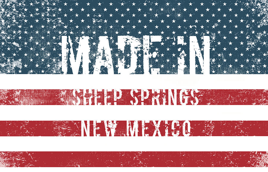 Made in Sheep Springs, New Mexico #1 Digital Art by Tinto Designs