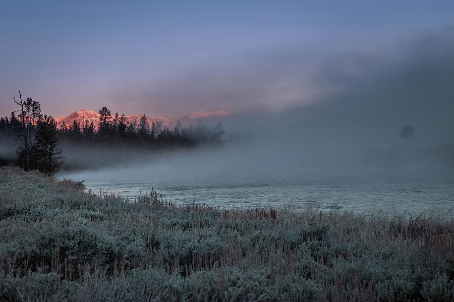 Morning on the Madison River  Photograph by Jen Manganello
