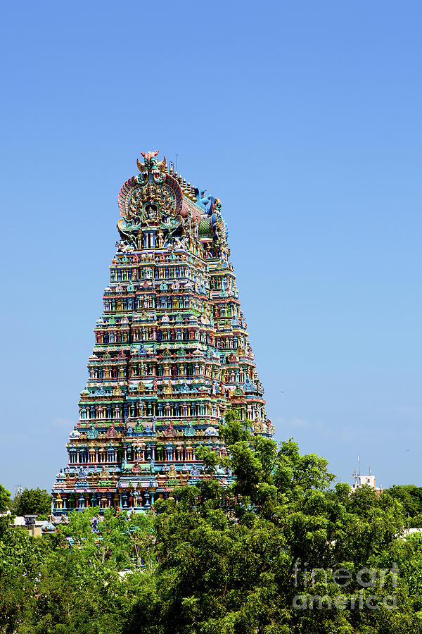 Inside Of Meenakshi Hindu Temple In Madurai Photo Background And Picture  For Free Download  Pngtree