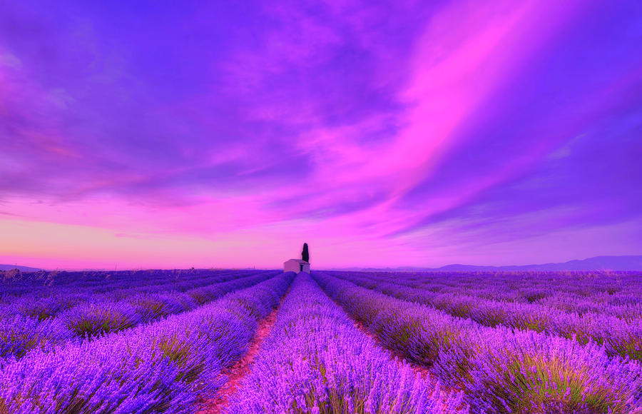 Sunset Photograph - Magical Fields by Midori Chan