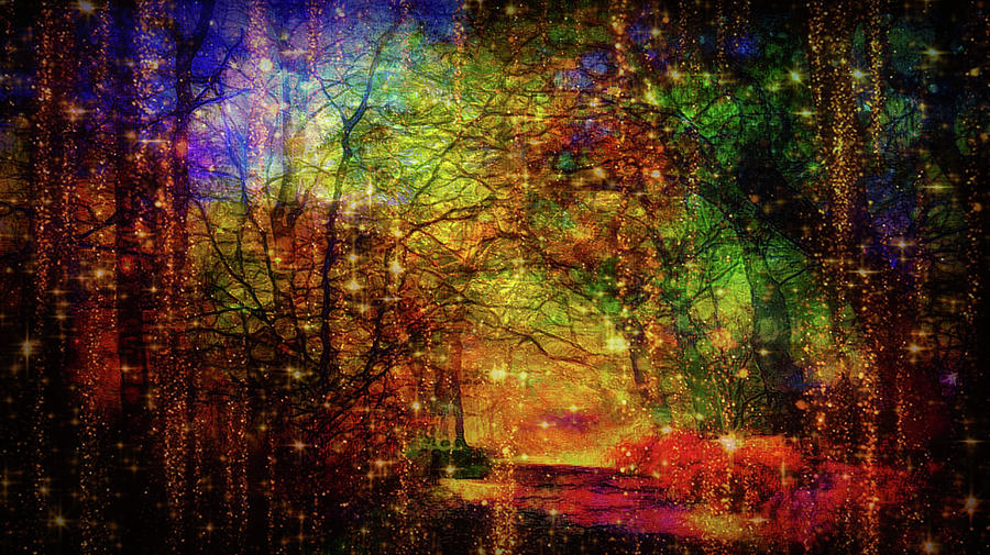 Magical woods #1 Mixed Media by Lilia S