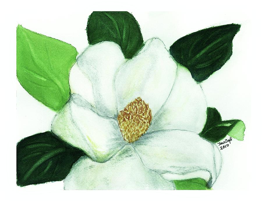 Magnolia II #1 Painting by Joan Zepf