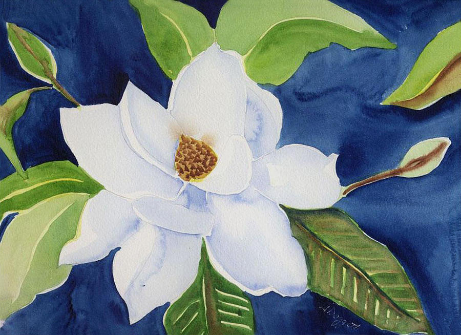 Magnolia #1 Painting by Janet Doggett - Fine Art America