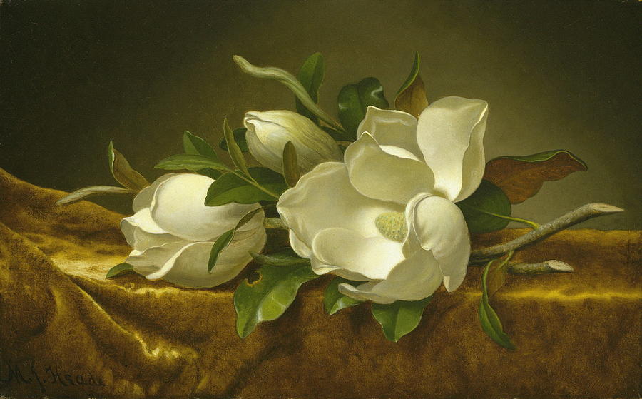Magnolia Movie Painting - Magnolias On Gold Velvet Cloth #1 by Martin Johnson Heade