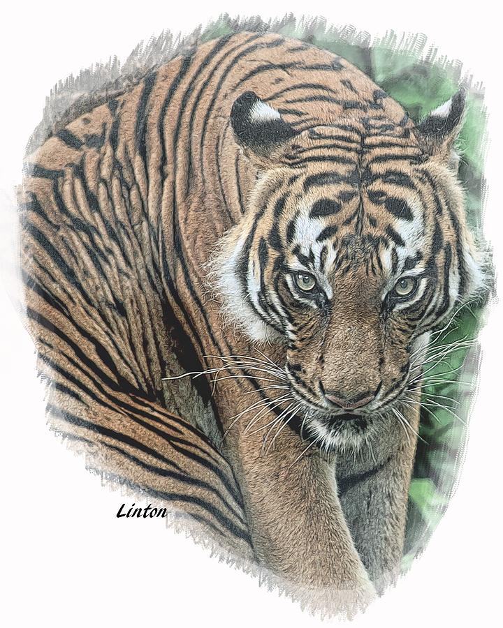 Malayan Tiger #1 Digital Art by Larry Linton