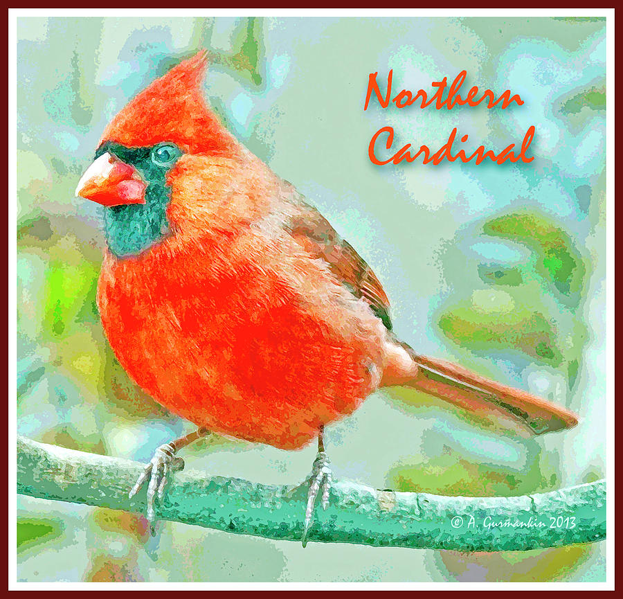 Male Cardinal on Tree Branch Digital Art by A Macarthur Gurmankin