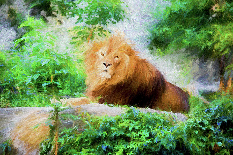 Jungle Photograph - Male Lion #2 by Artur Bogacki