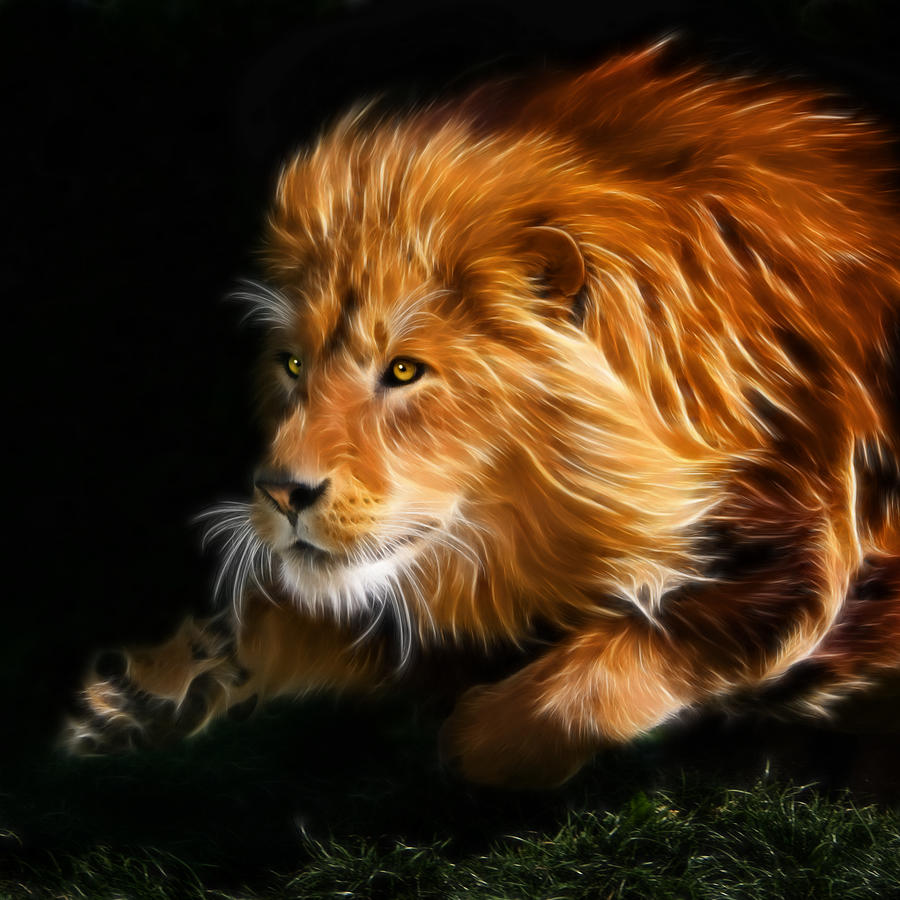 Cat Digital Art - Male Lion Fractal #1 by Julie L Hoddinott