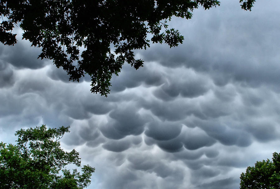 Tree Photograph - Mammatus Clouds #1 by Karen Scovill