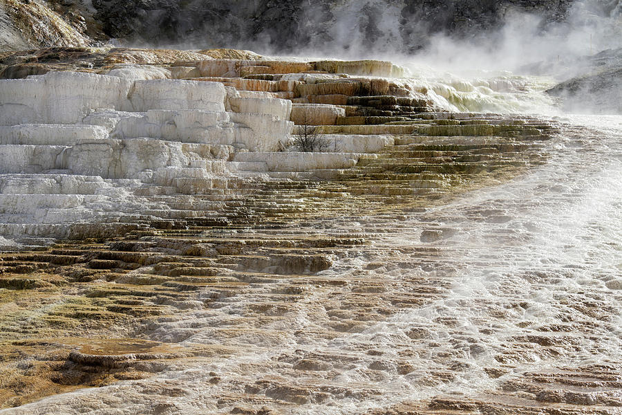 Mammoth Hot Springs abstract #1 Photograph by Shirley Mitchell