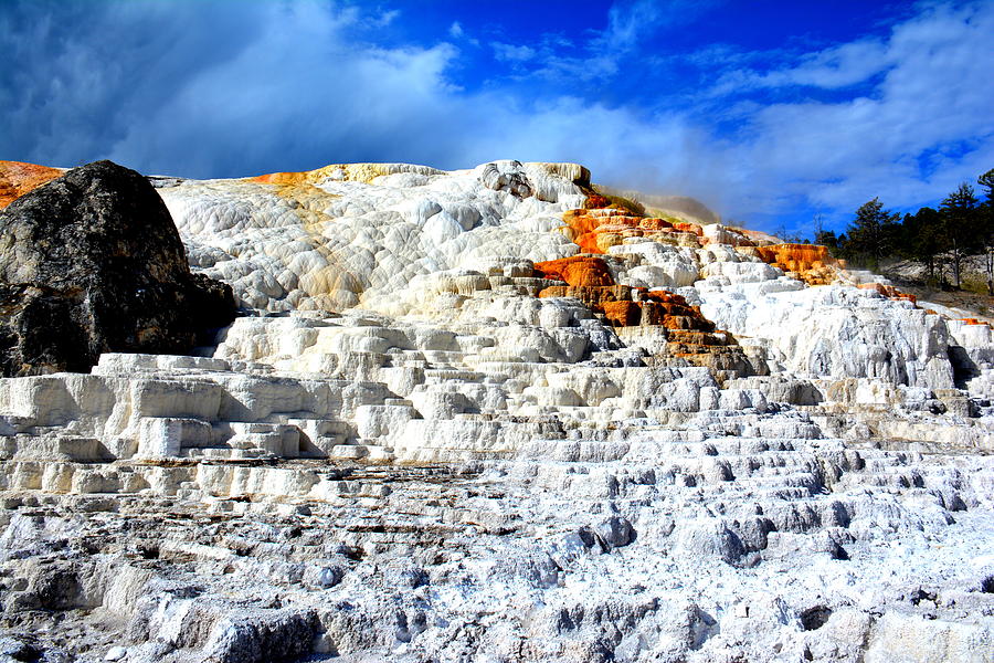 Mammoth Hot Springs Photograph by Brian Goodbar - Fine Art America