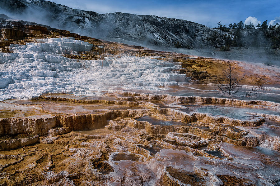 Mammoth Hot Springs Yellowstone NP_GRK7813_05282018-HDR  #1 Photograph by Greg Kluempers