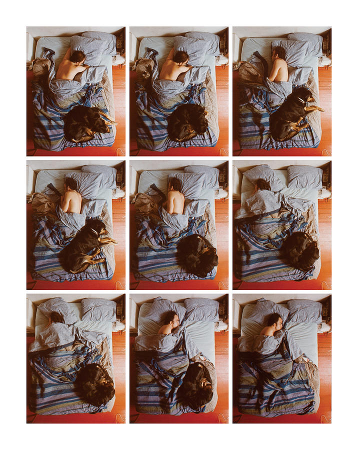 Sleep Photograph - Man And Dog by Ted Spagna Sleep Photograph - Man And Dog by Ted Spagna