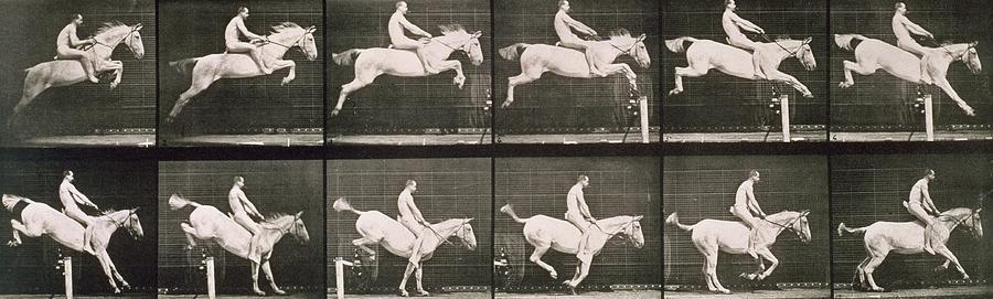 Black And White Photograph - Man and horse jumping a fence by Eadweard Muybridge