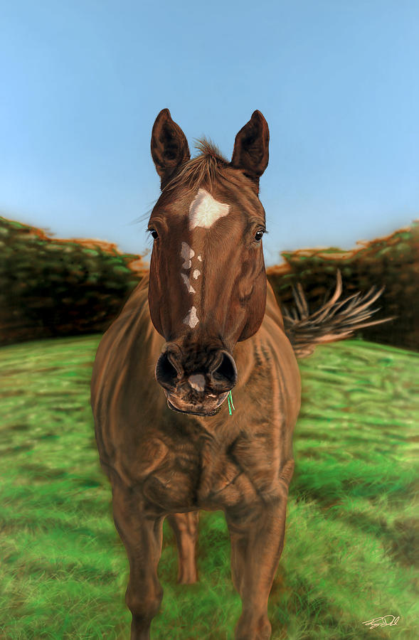 Horse Painting - Mana by Randy Dahl