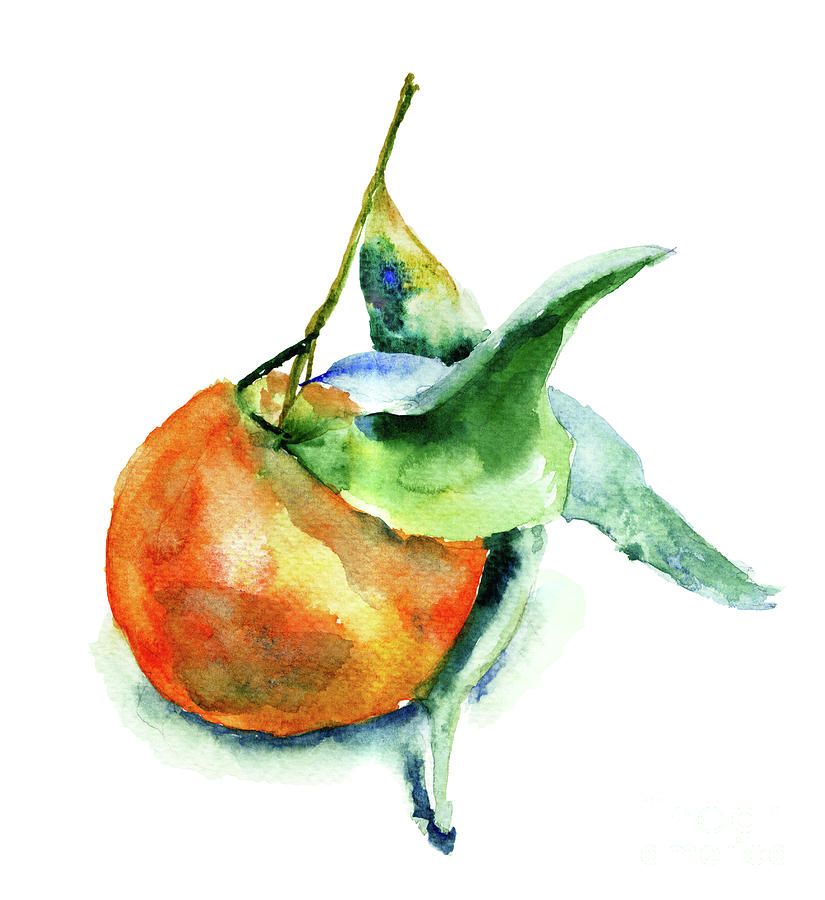 Mandarin fruits #1 Painting by Regina Jershova
