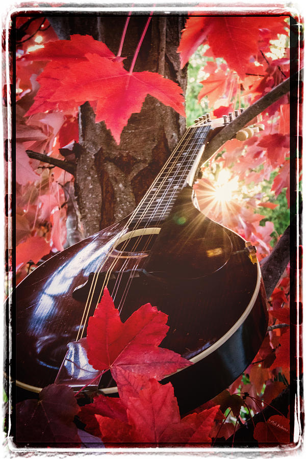 Mandolin Autumn II Photograph by Mick Anderson