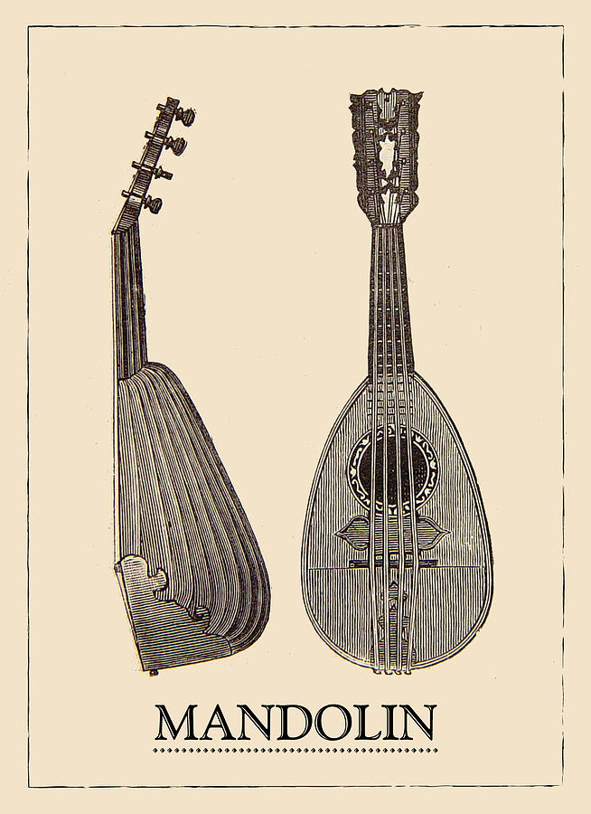 Musical Instrument Digital Art - Mandolin Musical Instrument #1 by Sandra McGinley