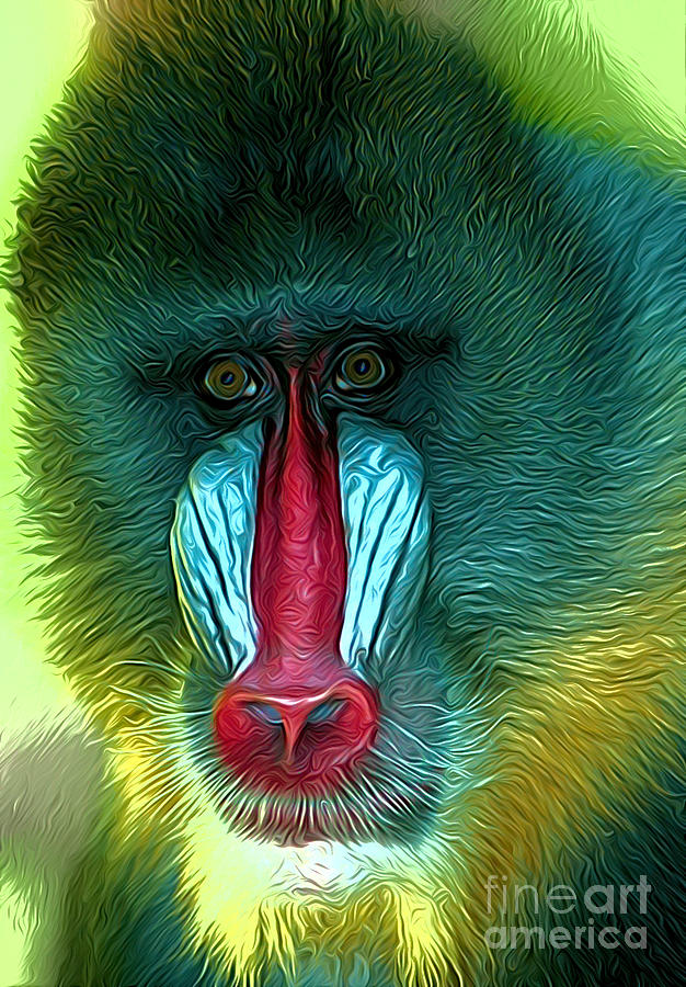 Mandrill #1 Photograph by Andrew Michael