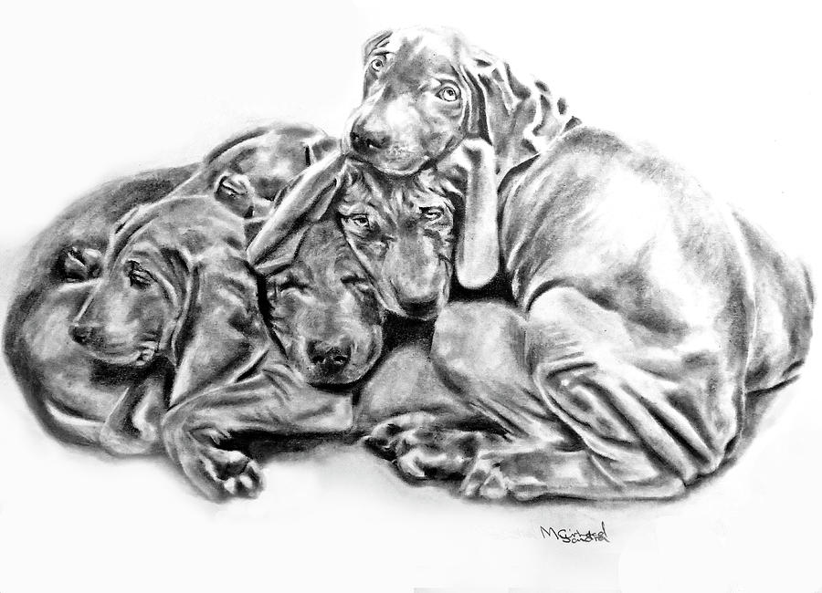 Mangos pups #1 Drawing by Sandra Muirhead