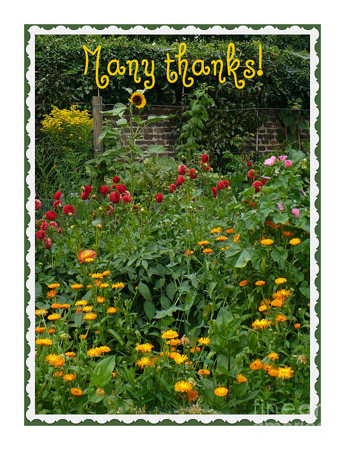 Many Thanks Card #2 Photograph by Carol Groenen