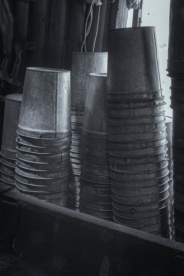 Maple Syrup Buckets Photograph by Tom Singleton