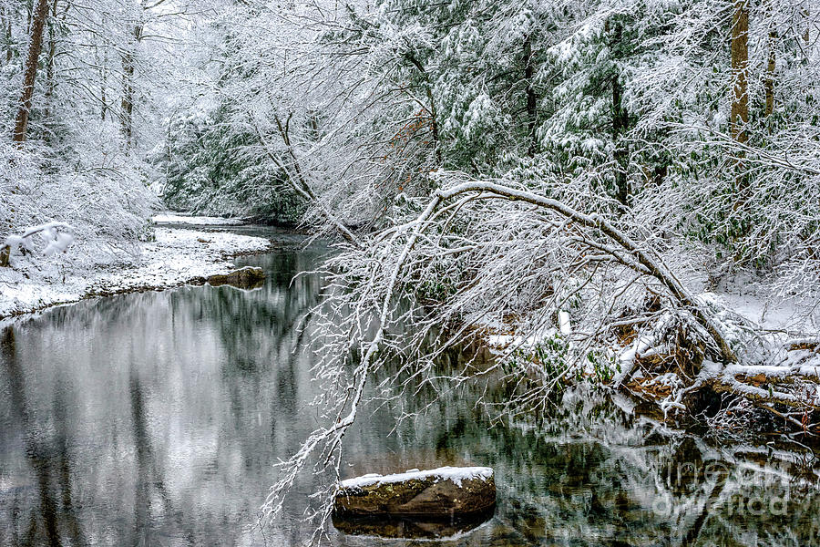 March Snow Cranberry River #1 Photograph by Thomas R Fletcher