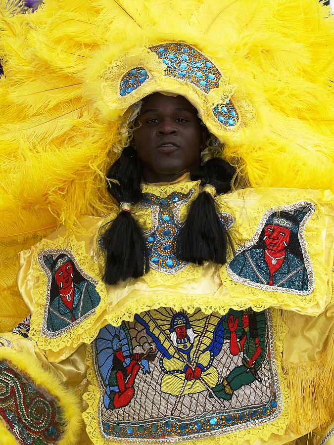 mardi gras indian canvas wall art