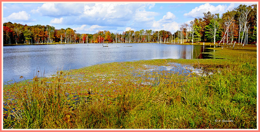 Marsh in Autumn, Pocono Mountais, Pennsylvania #1 Photograph by A Macarthur Gurmankin