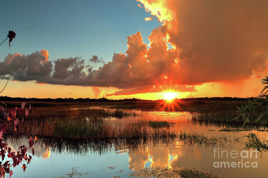 Marsh Sunset Photograph