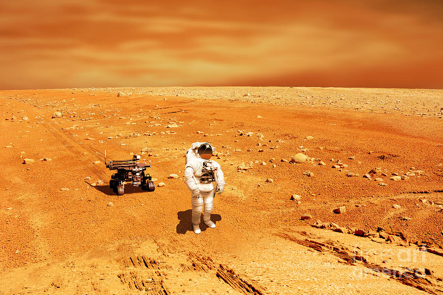Martian Explorer #1 Photograph by Marc Ward
